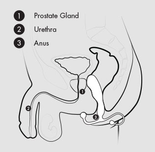 prostate-massagers-easy-to-use_1