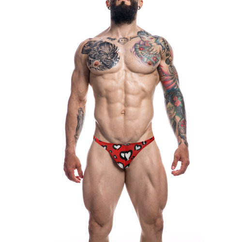 n12062-c4m-brazilian-brief-hearts-large-front