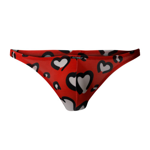 n12062-c4m-brazilian-brief-hearts-large