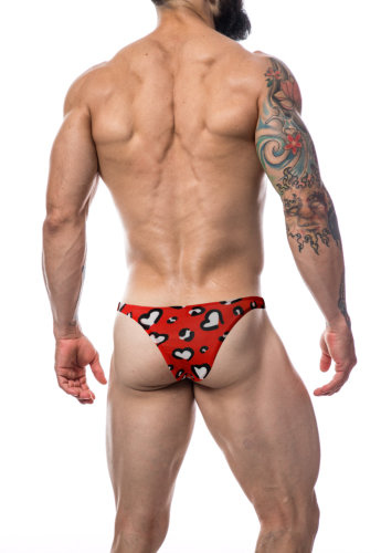 n12063-c4m-brazilian-brief-hearts-x-large-back1